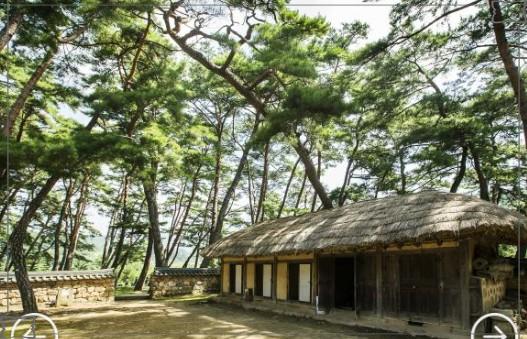 영화 &amp;#39;왕과 사는 남자&amp;#39; 촬영지 영월 여행: 청령포에서 장릉까지 핵심 코스