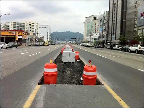 마산 해안도로 5월의 꽃 다정큼나무 산딸나무 해당화_6