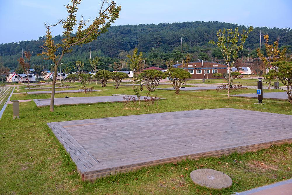 전라남도 무안군 회산백련지 오토캠핑장 소개