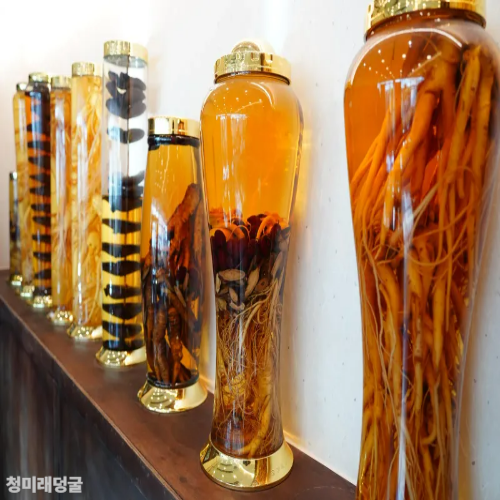 토복령