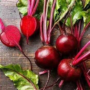 비트 고르는 방법