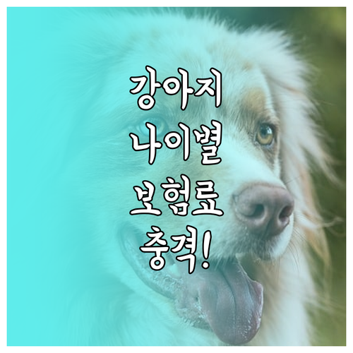 반려견 나이별 평균 보험료와 가입 가..