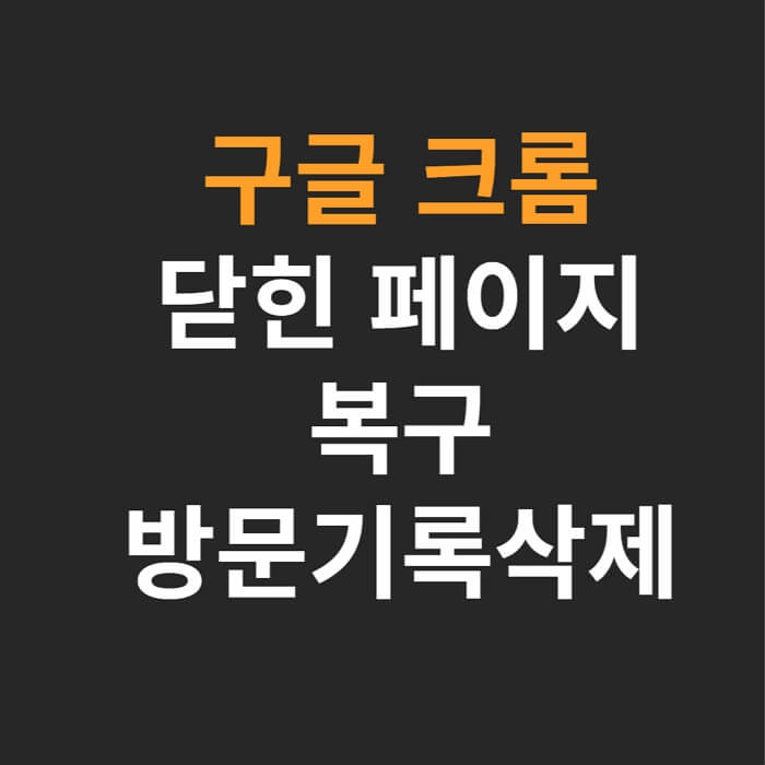 크롬-닫힌-페이지복구-방문기록삭제