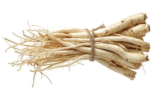 도라지 효능ㅣ도라지 부작용ㅣ도라지 섭취법 활용법