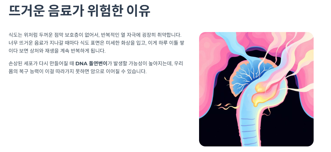 뜨거운 음료가 위험한 이유