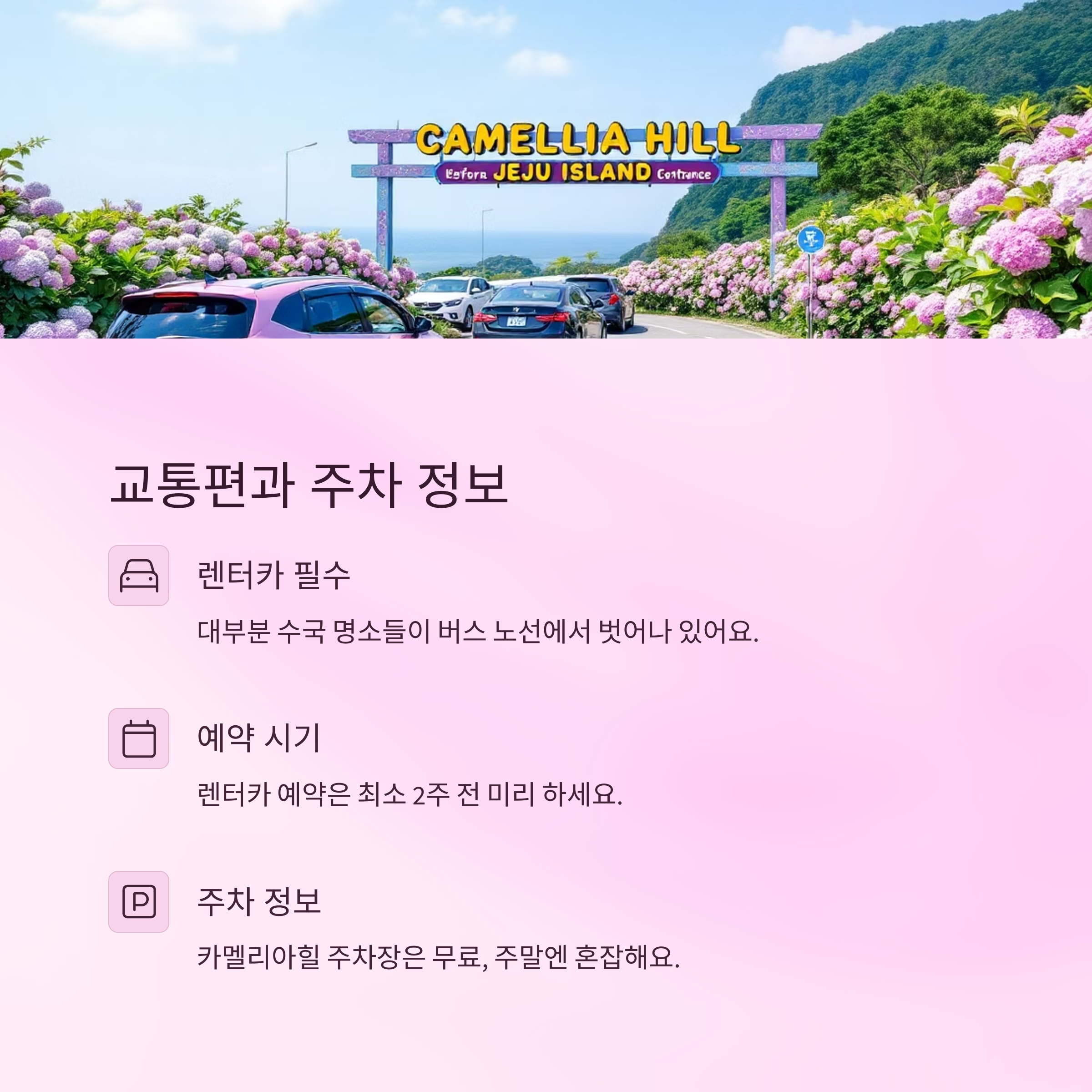 제주도 수국 명소, 여름을 수놓은 푸른 보석