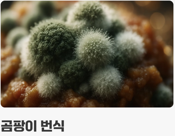 눈에 보이지 않는 진짜 위험