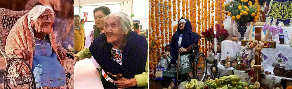 마마 코코와 나나 살루드