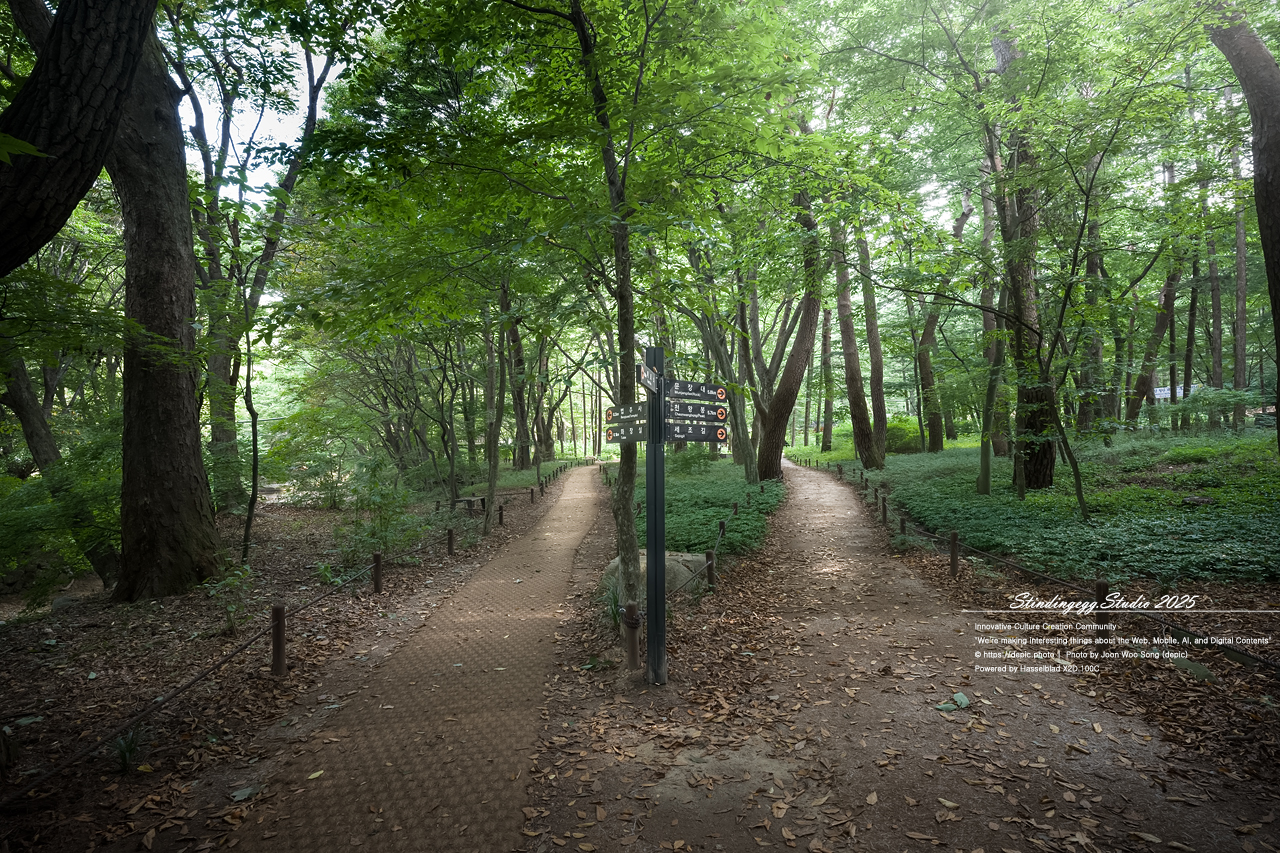 #보은 #법주사 #속리산 #생태탐방로 #속리산조각공원