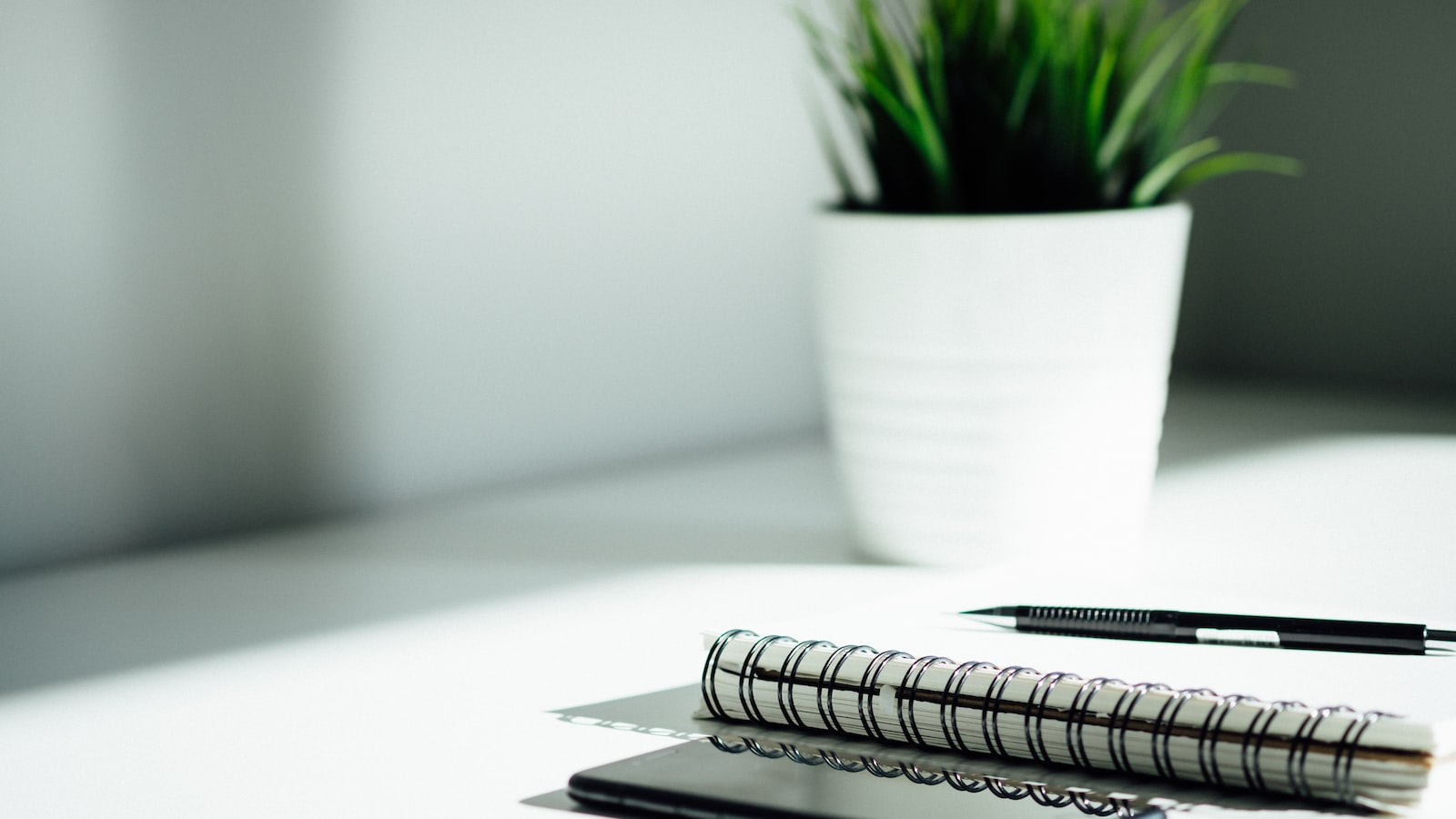 대구 경북 중소기업특별판매전