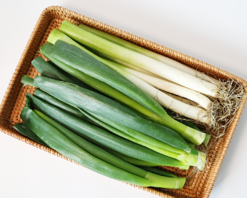 대파 보관하는 방법