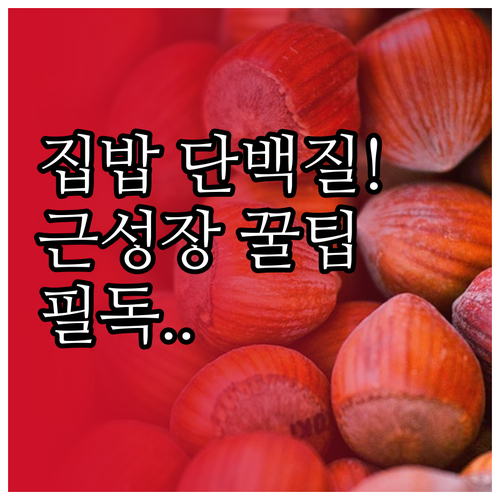 집밥으로 채우는 단백질 식단과 효율적..