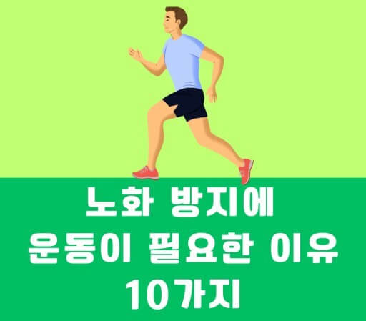 운동이 노화방지의 키