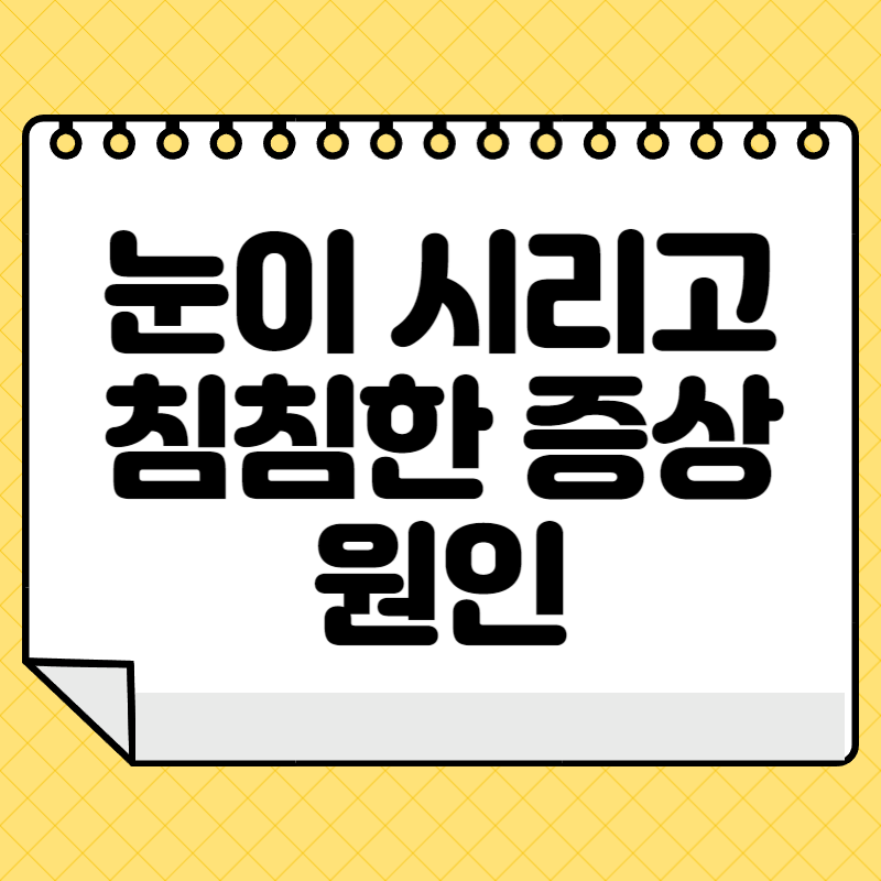 눈이 시리고 눈물나고 침침한증상