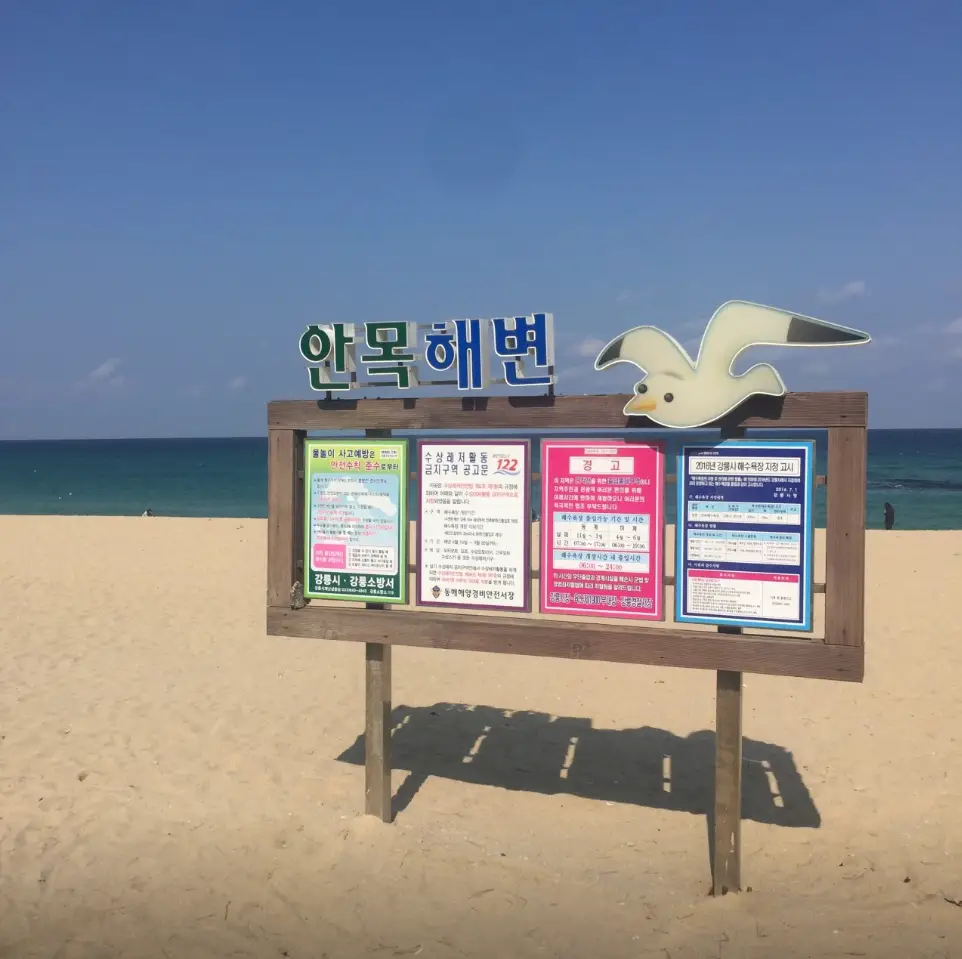 안목해변-게시판