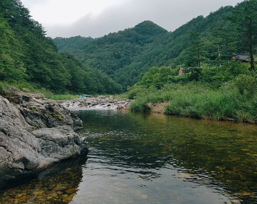 법수치 계곡