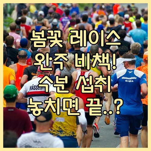 서울 봄꽃 레이스 완주를 위한 컨디션..