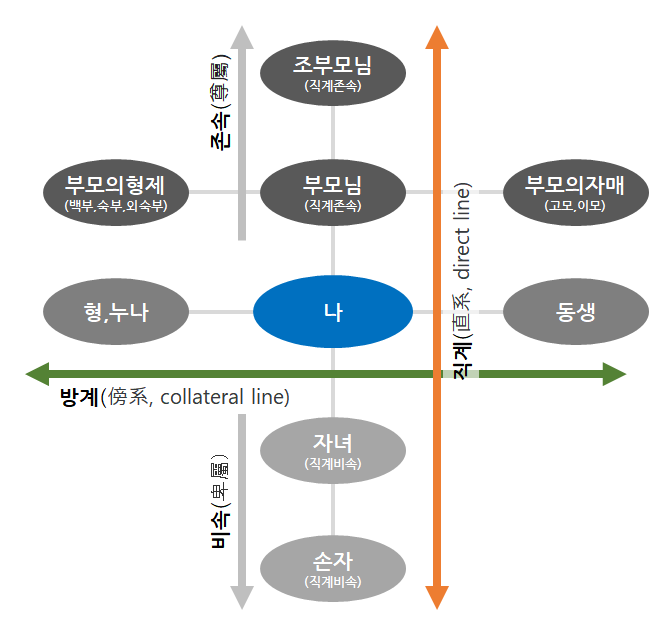 직계존속 직계비속 방계혈족 관계도 직계방계구조도