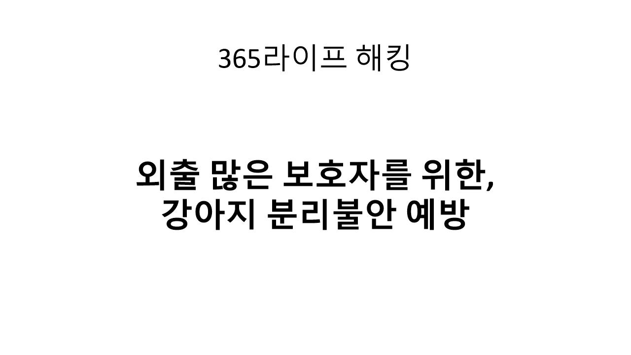 외출 많은 보호자를 위한 반려견 분리불안 실전 대처법
