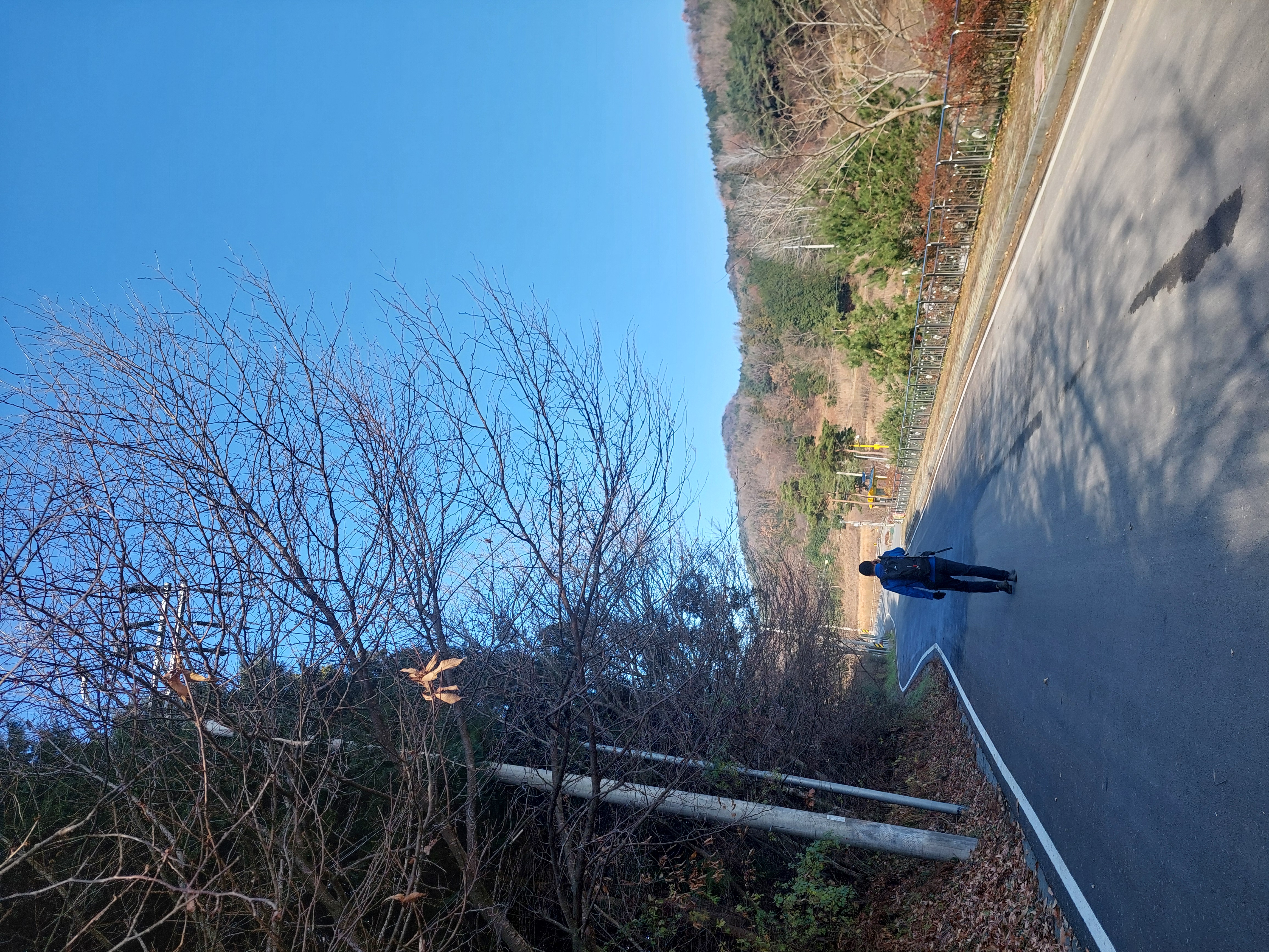 축령산