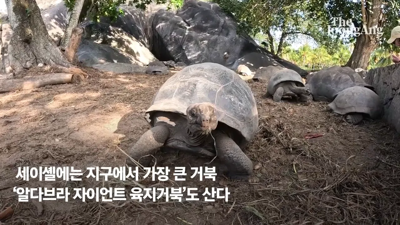 세이셸 국립공원