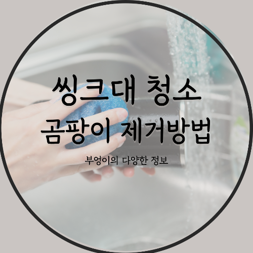 씽크대 청소, 그렇게 어렵지 않아요!
