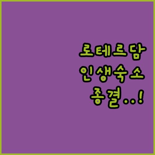 해변 위 하우스부터 랜드마크까지 로테..
