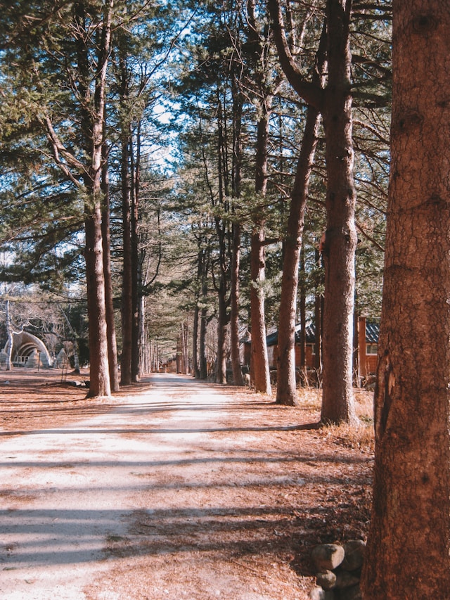 2026 지역사랑 휴가지원제 신청방법 및 자격