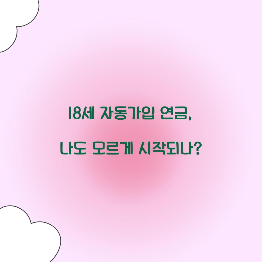 18세 자동가입 연금