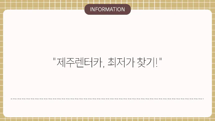 렌터카 추가 정보