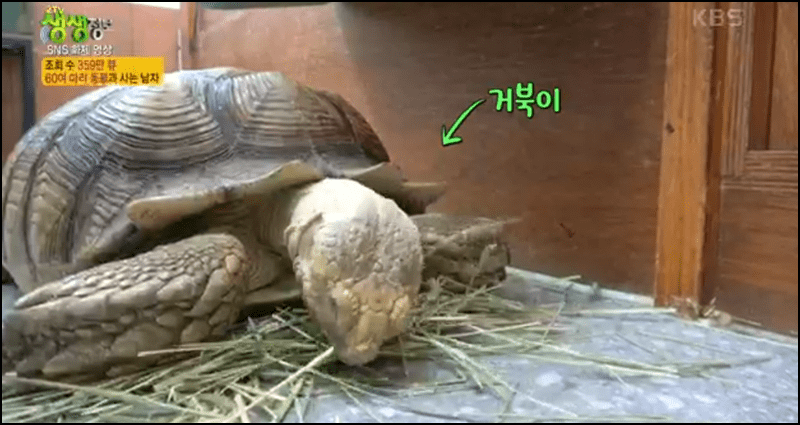 생생정보 수달동물원 안내