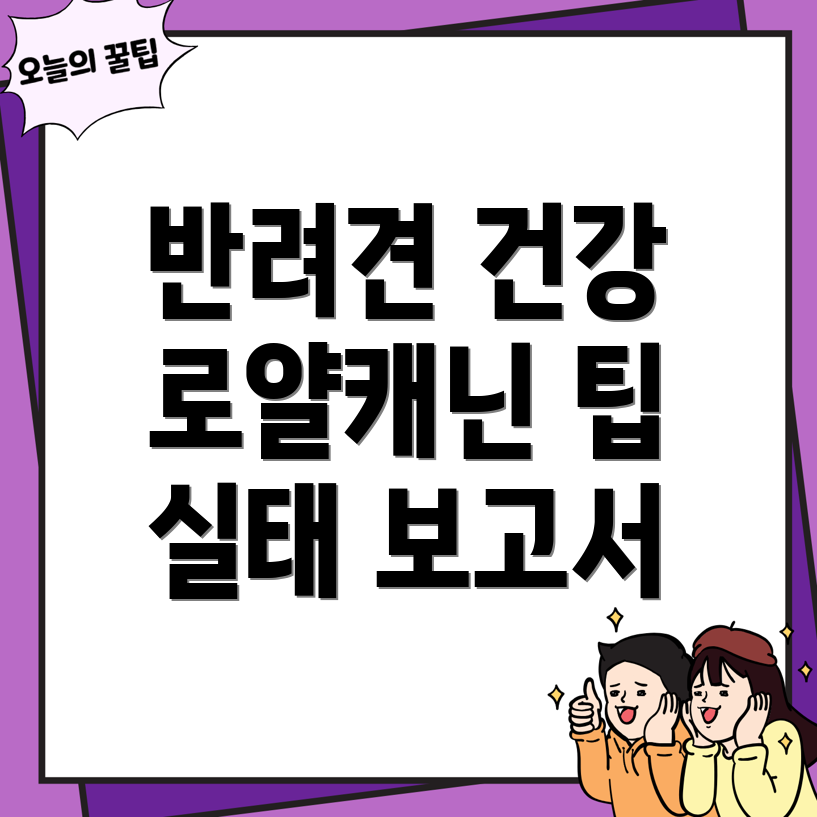 반려견 건강 관리
