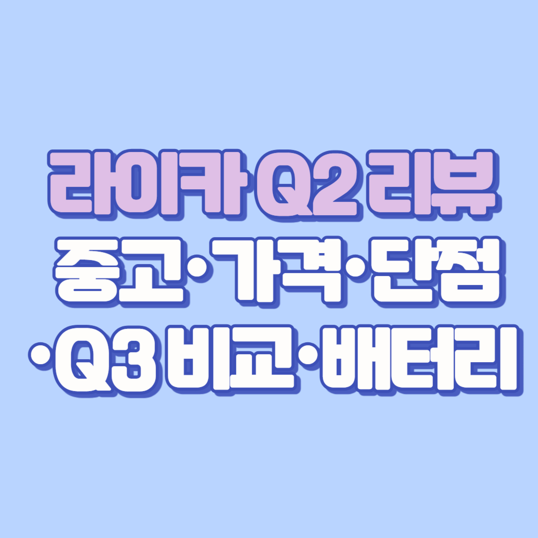 [라이카 Q2 리뷰] 중고 가격·단점·Q3 비교! (+펌웨어·색감·렌즈캡·배터리·케이스)