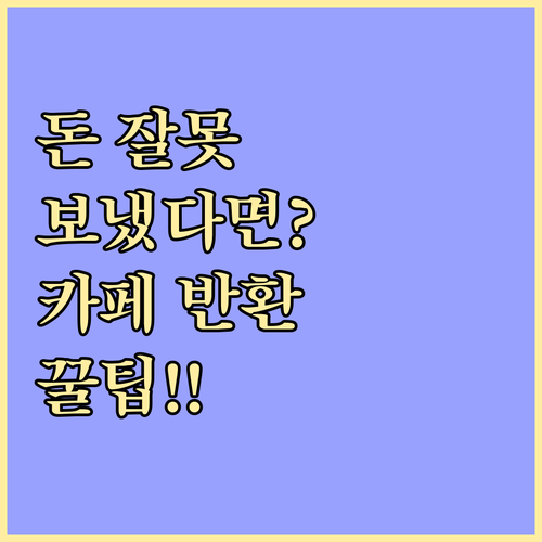 카카오페이 착오송금 반환 중개 서비스..