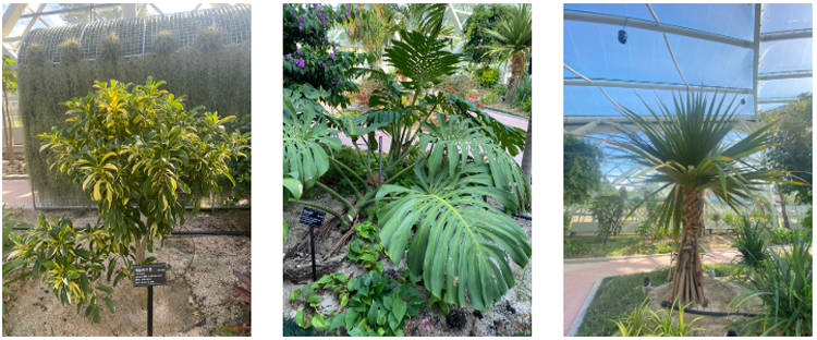 순창 발효테마파크