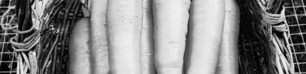 당근 수확시기: 온화한 기후 조건