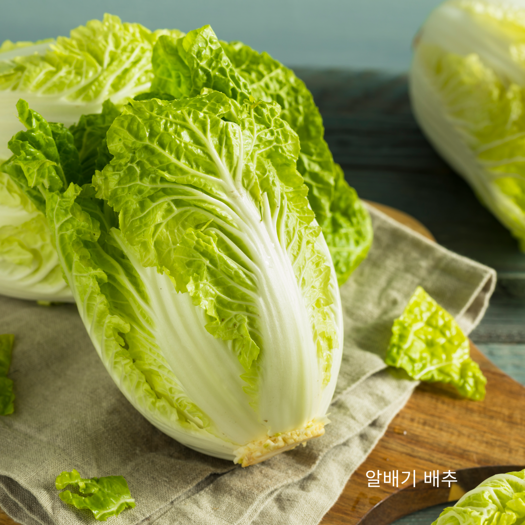 배추전 만들기 알배기 부침개