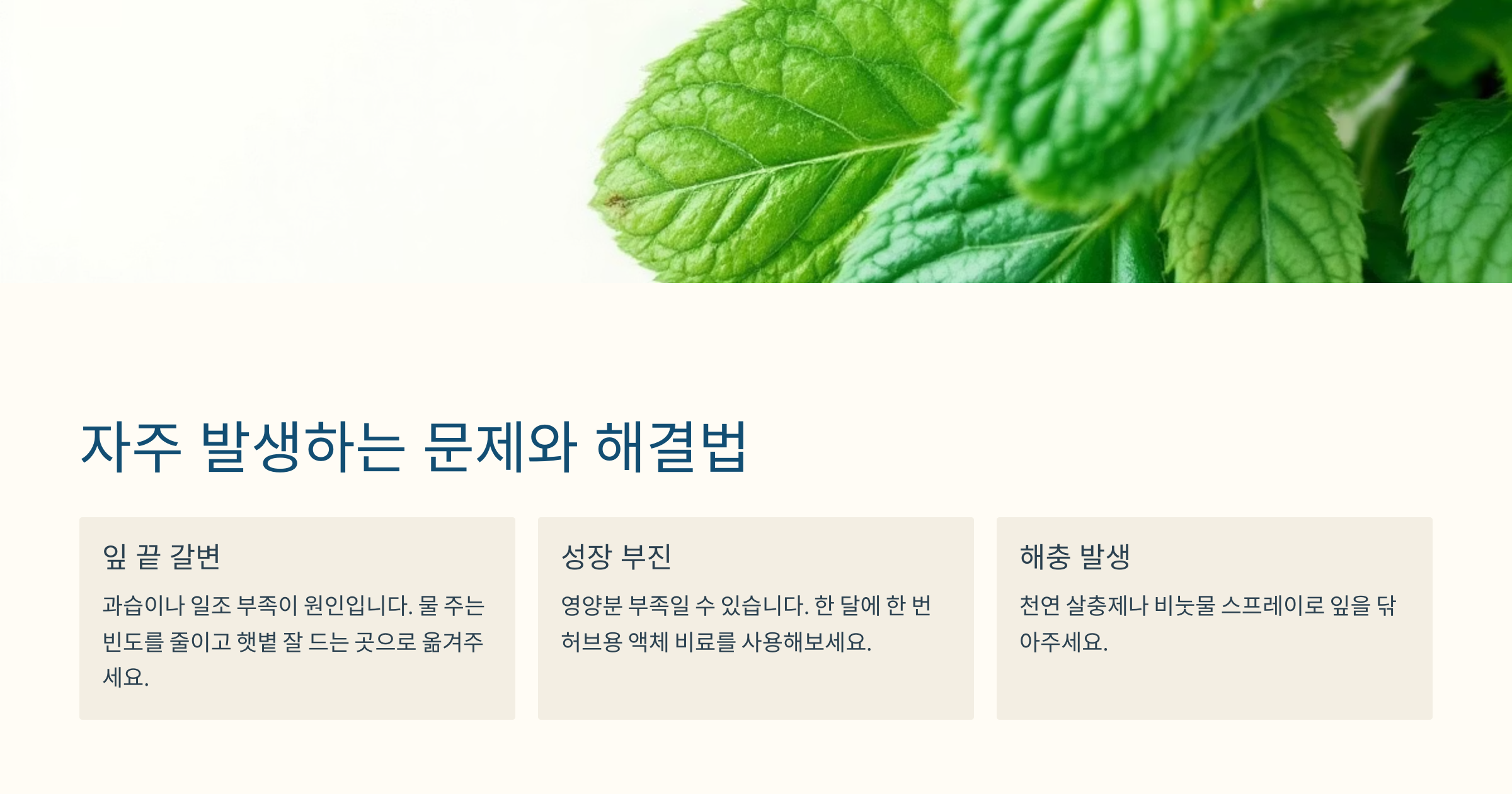 페퍼민트