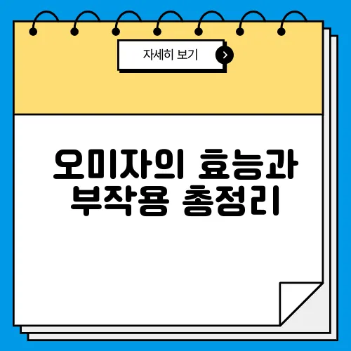 오미자의 효능과 부작용 총정리