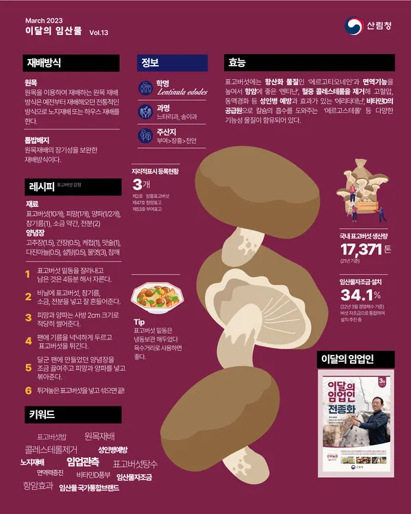 표고버섯 효능_8