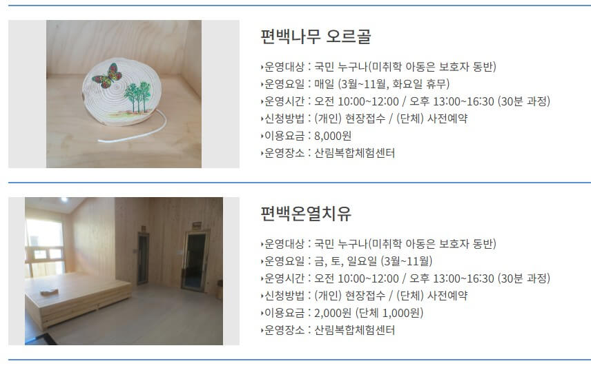 남해 편백자연휴양림 목재문화체험 프로그램