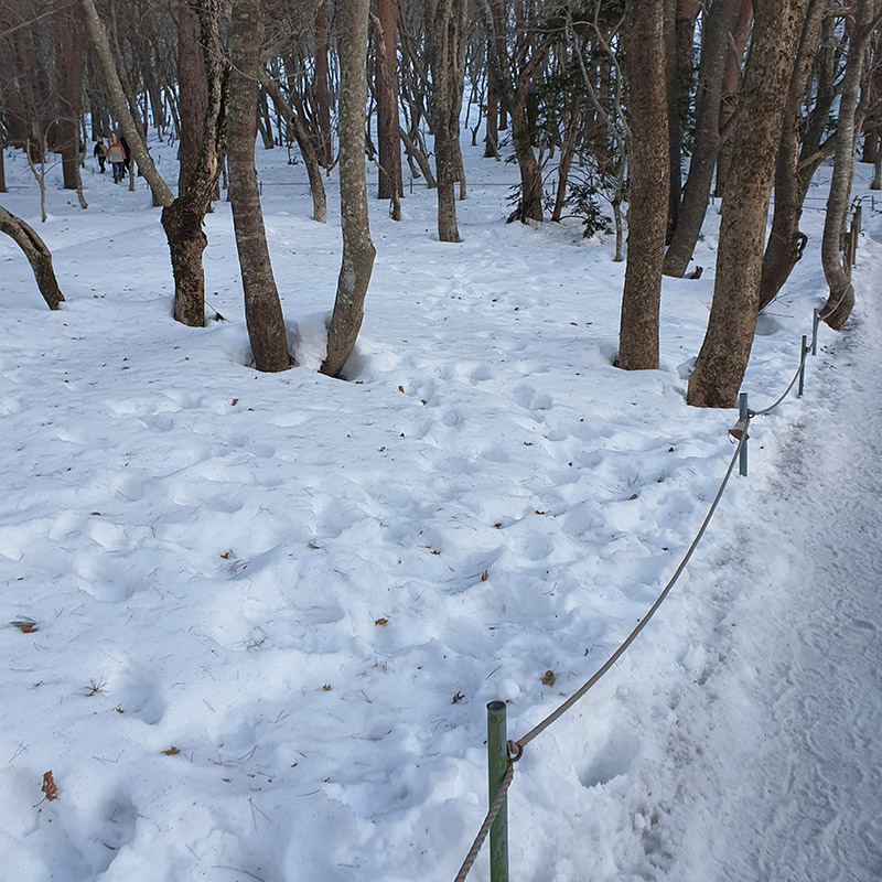제주도 한라산 영실코스