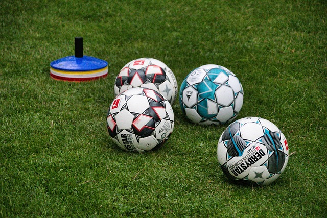 축구공과 축구 마커의 사진