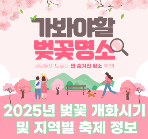 2025년 벚꽃 개화시기 및 지역별 축제 정보 관련 사진