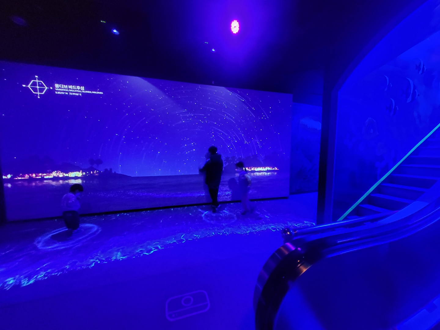 부산 아쿠아리움