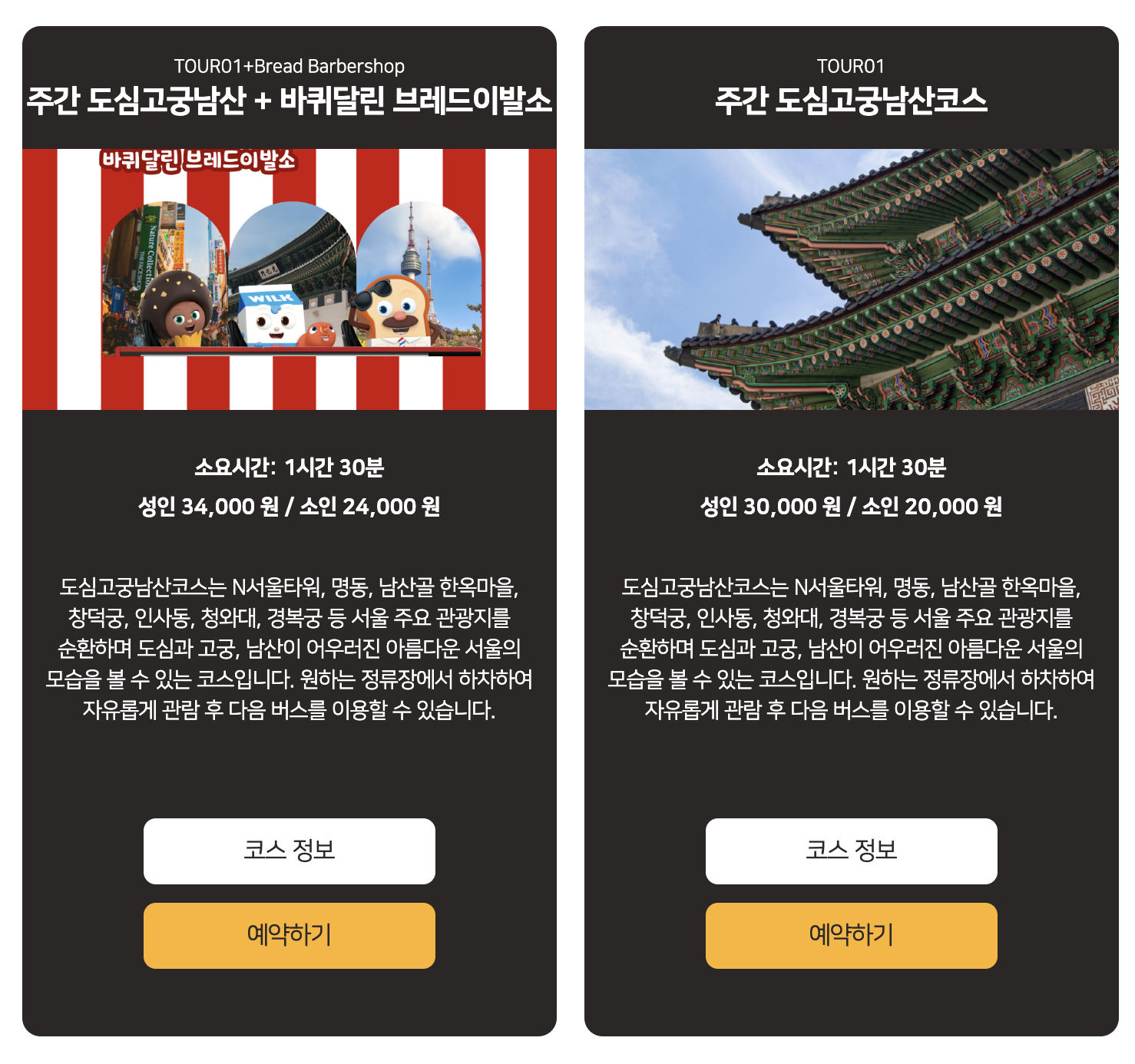 서울시티투어 타이거버스 주간 도심고궁남산코스