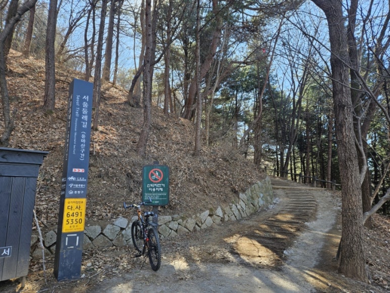 용마산 등산로 전경 완만한 길