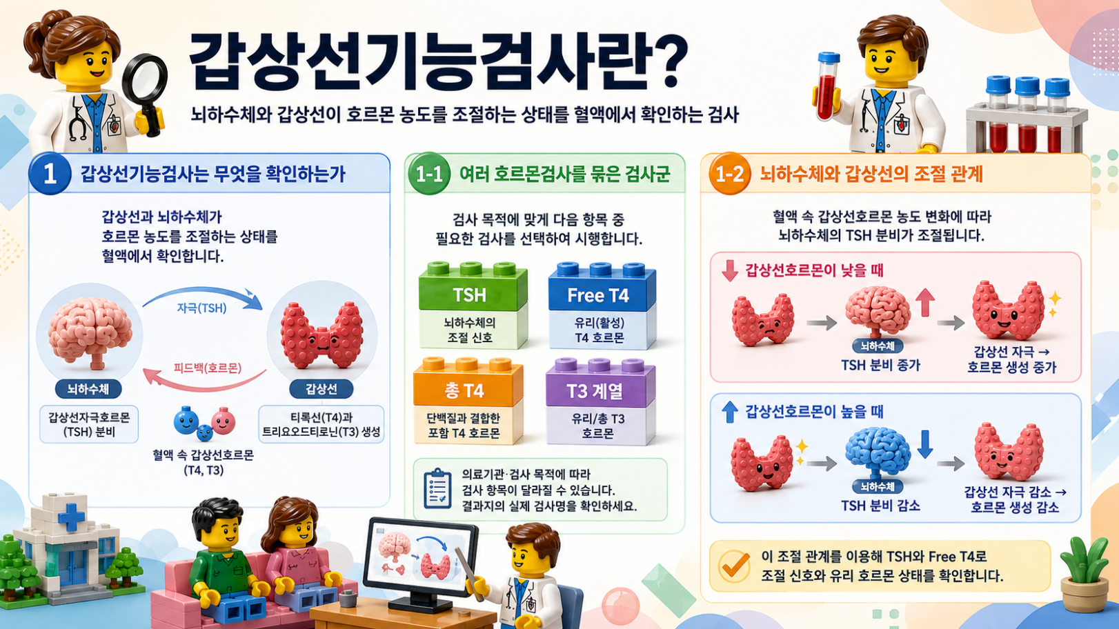 갑상선기능검사가 무엇을 확인하는지와 뇌하수체&middot;갑상선의 조절 관계를 설명하는 메디컬 인포그래픽