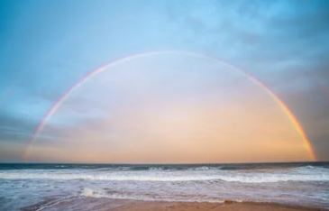 제 26회 국제 신문 부산 마라톤 대회 기본 정보&amp;#44; 장소&amp;#44; 대회 일정&amp;#44; 시간