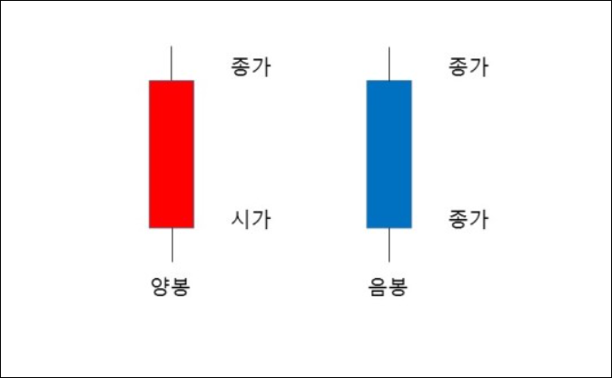 비트코인 주식 차트보는 방법 (캔들 총정리)